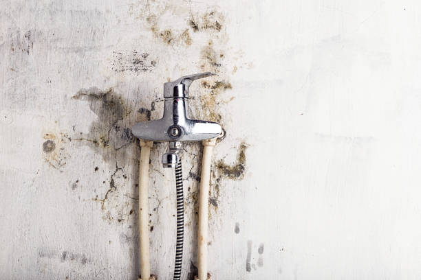 Milton, WI Mold Removal Company