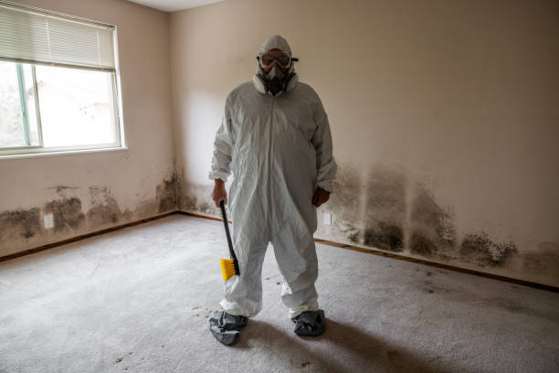 Best Toxic Mold Removal  in Milton, WI